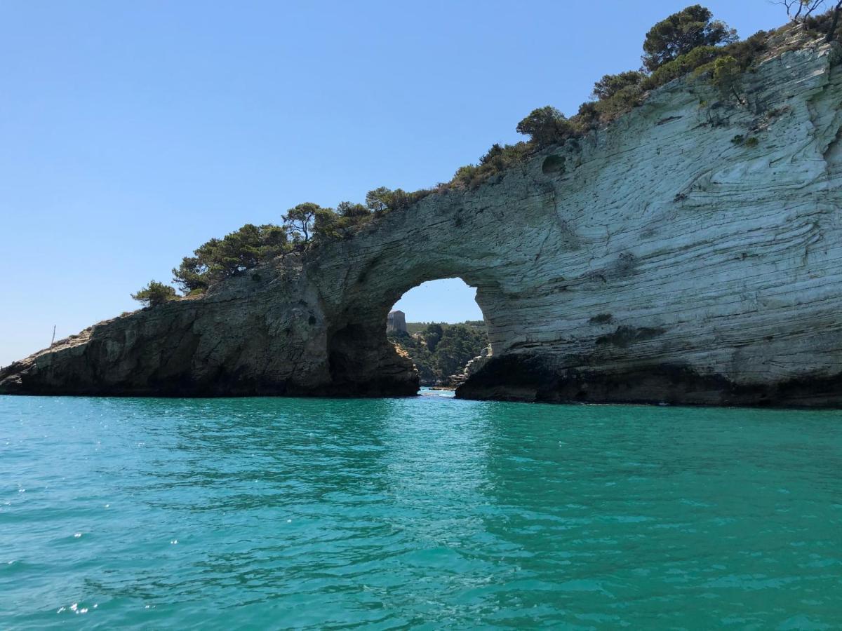 Apartmán La Casaruccia Vieste Exteriér fotografie