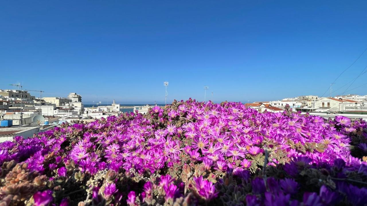 Apartmán La Casaruccia Vieste Exteriér fotografie